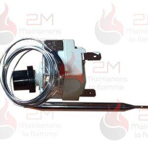 Thermostat de sécurité thermique référence 1042005800