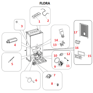 Flora