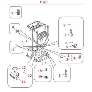 Cap
