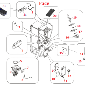 Face