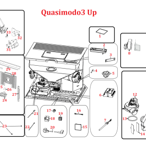 Quasimodo 3 UP