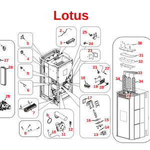 Lotus